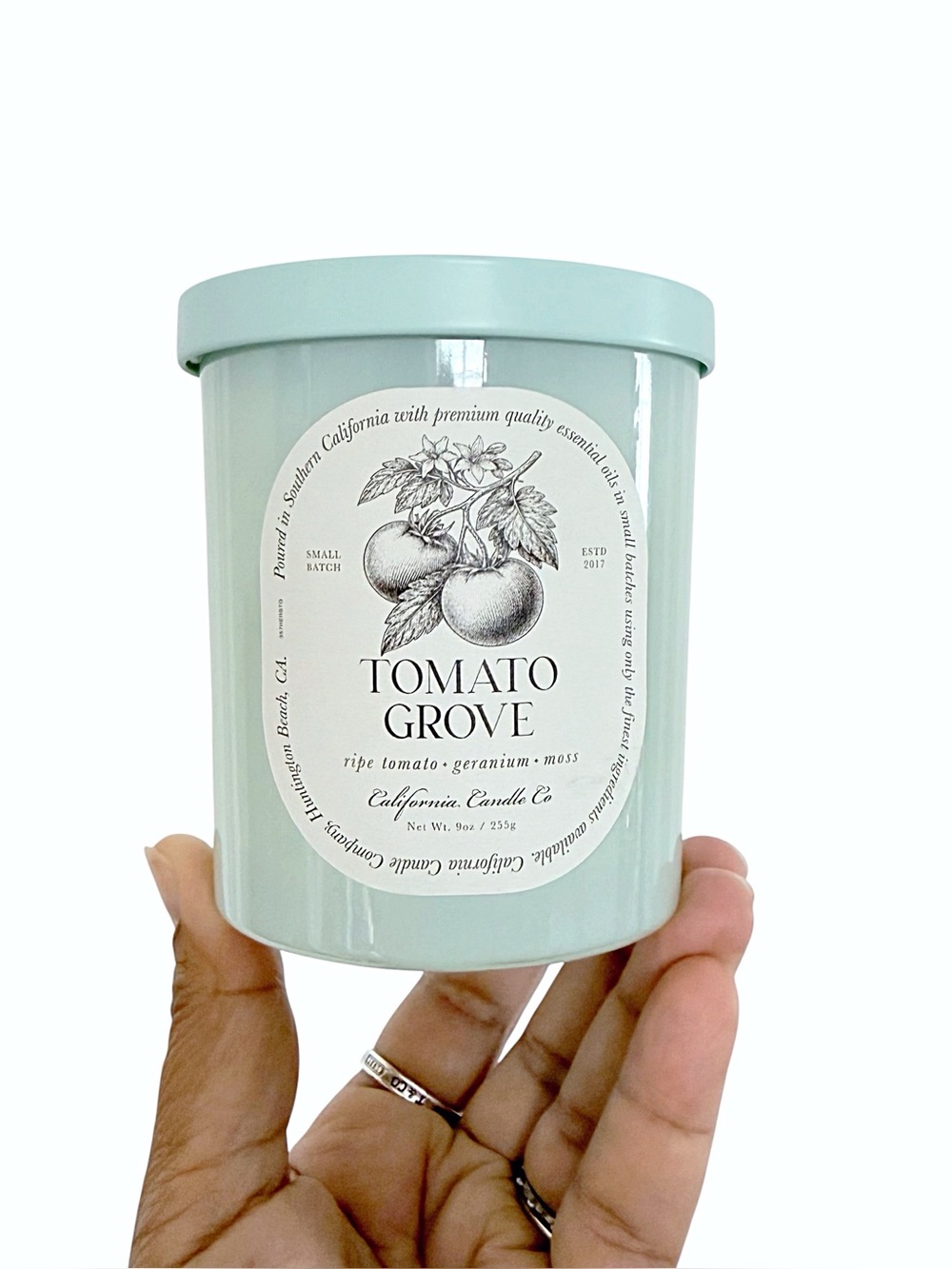 Leoben Company Tomato Grove Scented Candle - Mint Green Jar